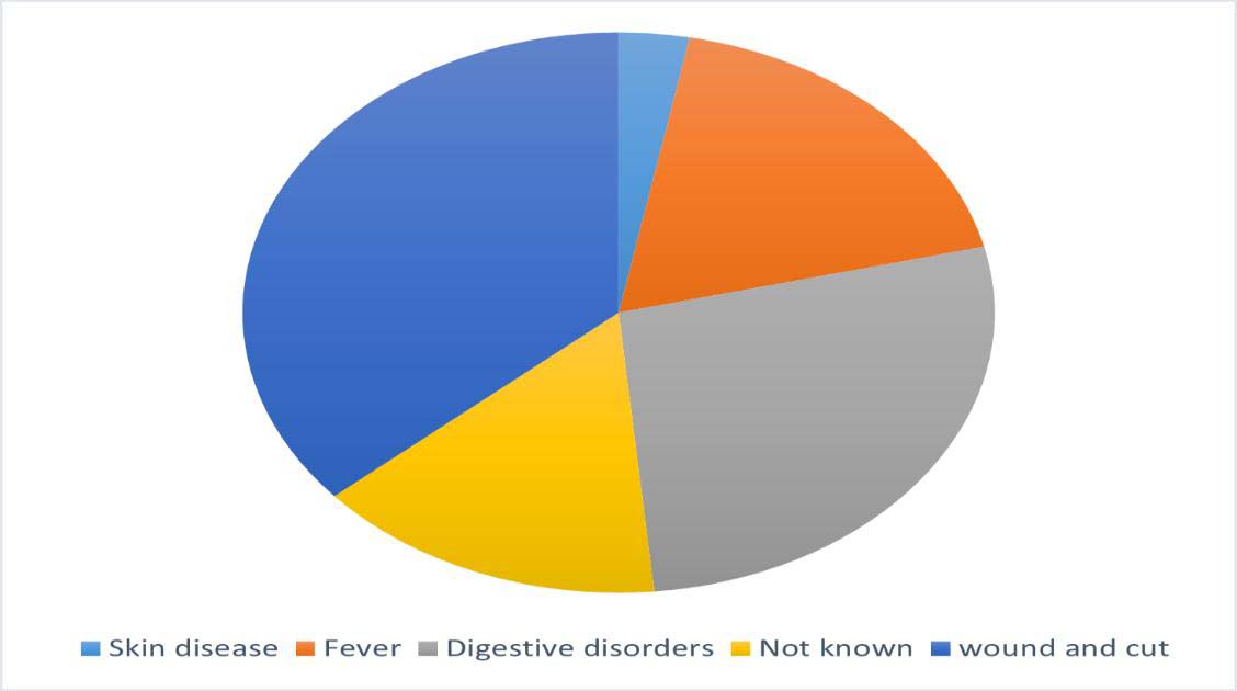 Orchid used as medicinal