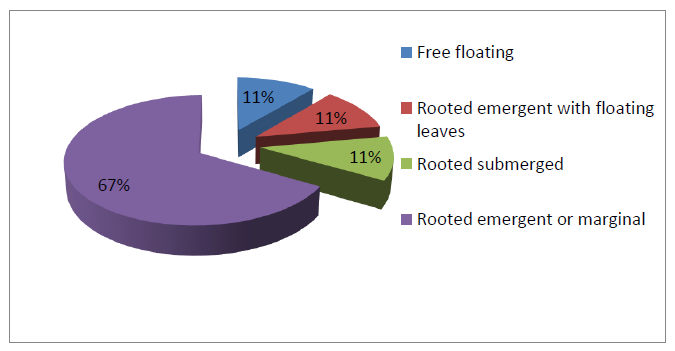 Percentage of species composition