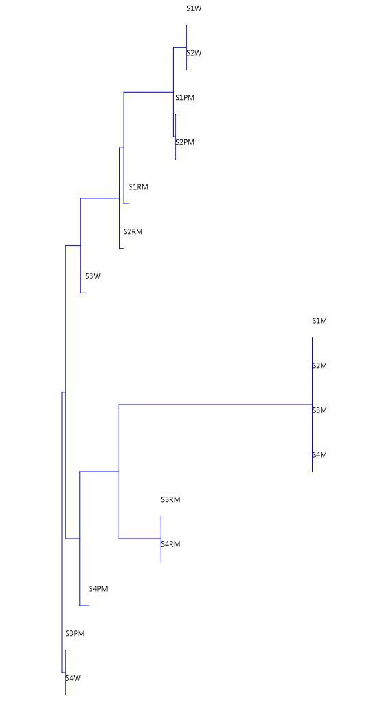 Cluster analysis through Bray-Curtis similarity index