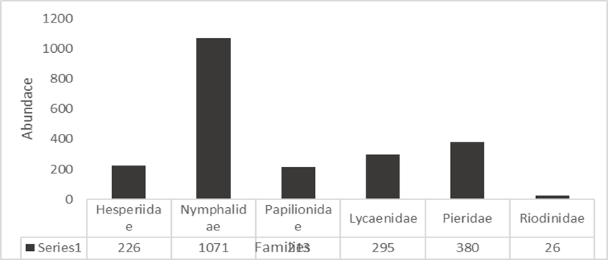 Family-wise species abundance of butterfly species