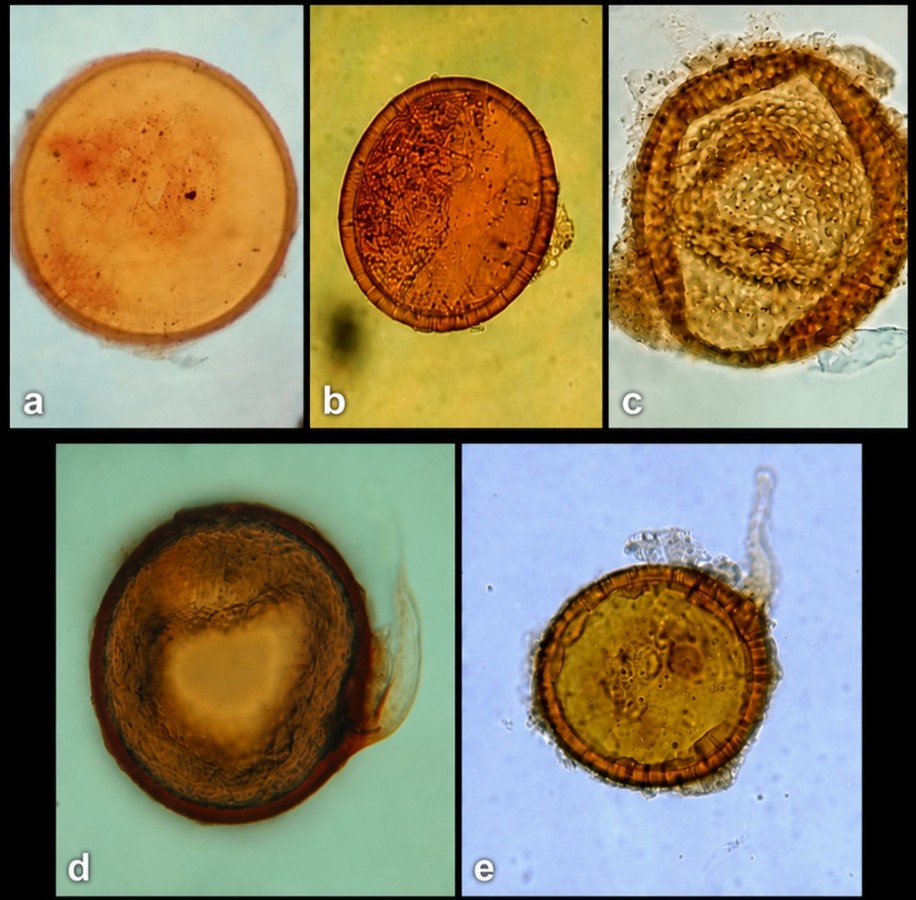 Fig 2